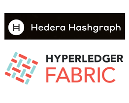 Hedera Hasgraph Logo